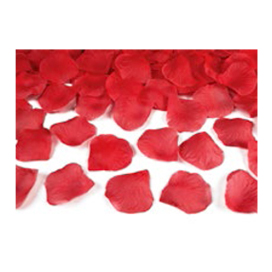 PLRD100 007 ROUGE