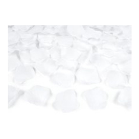 PLRD100 008 BLANC